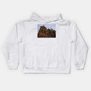 Perched Kids Hoodie